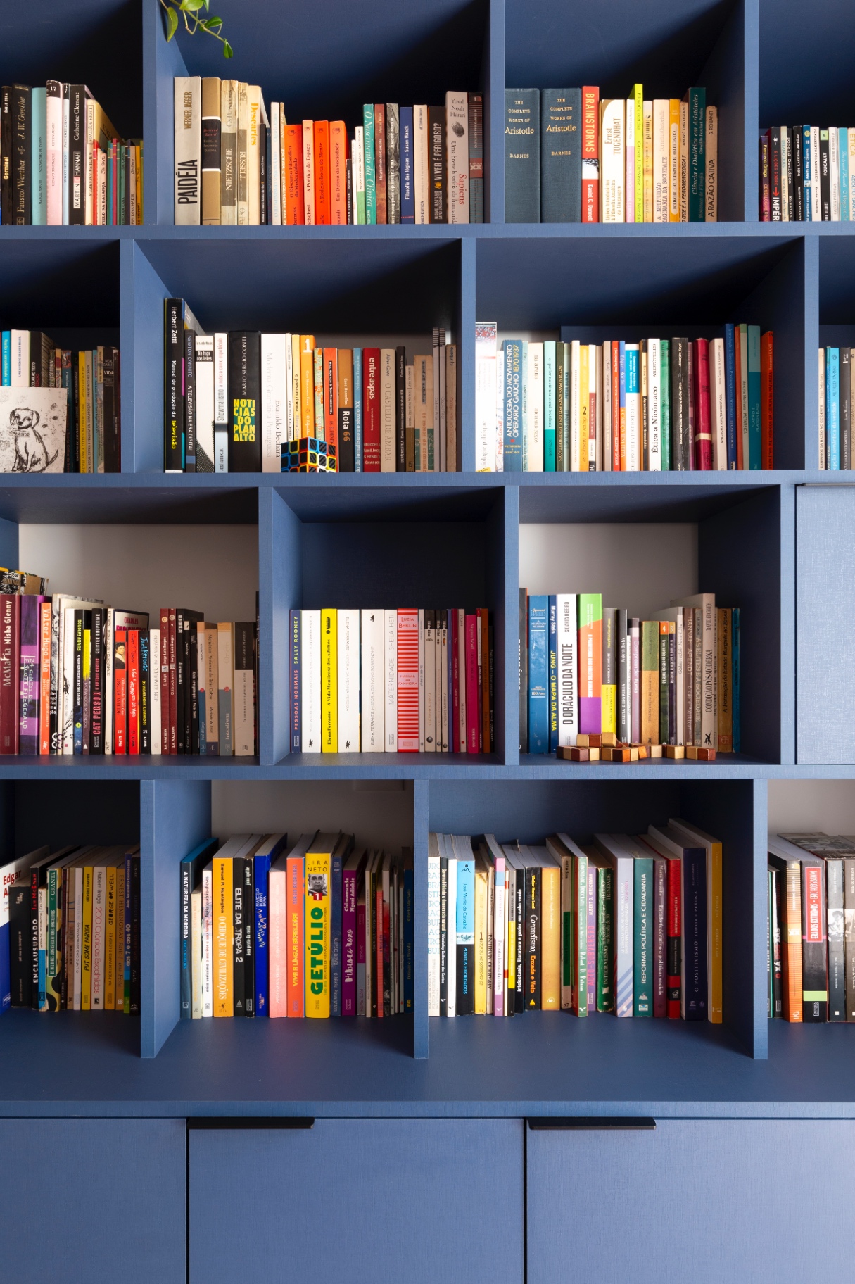 Estante azul personalizada com coleção de livros